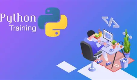 Python Programming & Web Development